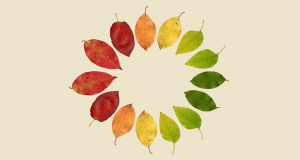 Frise du temps Montessori